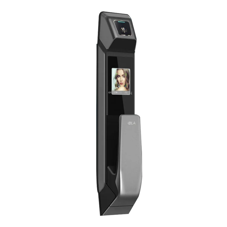 High Quality Fully Automatic Password Locks With Fingerprint Smart Face Recognition Door Lock