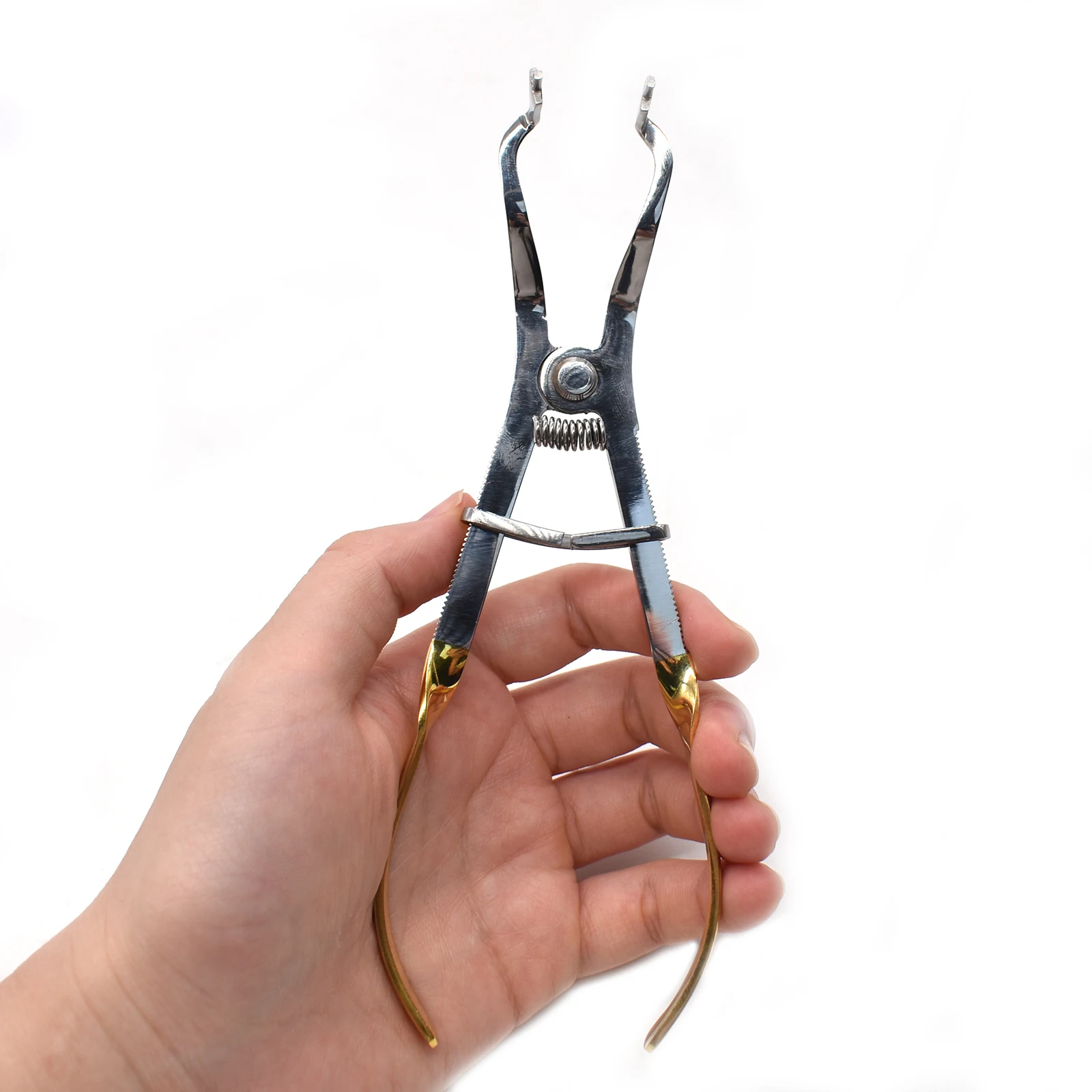 Dental Rubber Dam Clamps Ivory Clamp Forceps Light Weight Ivory Clamp Stainless Steel Dental Restorative Instruments