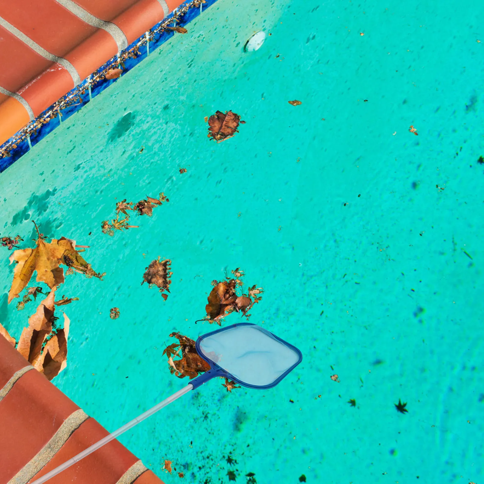 

Набор для чистки бассейна: скиммер-сачок для листьев с мелкой сеткой, быстросъемная 5-секционная телескопическая ручка, фильтр для удаления поверхностных загрязнений и мусора из спа-бассейнов