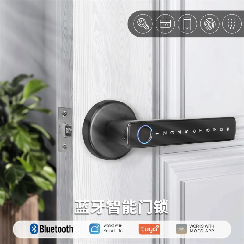 

Bluetooth Smart Fingerprint Lock Tuya Smart APP Remote Password Unlocking Hotel Apartment Office Rental Room
