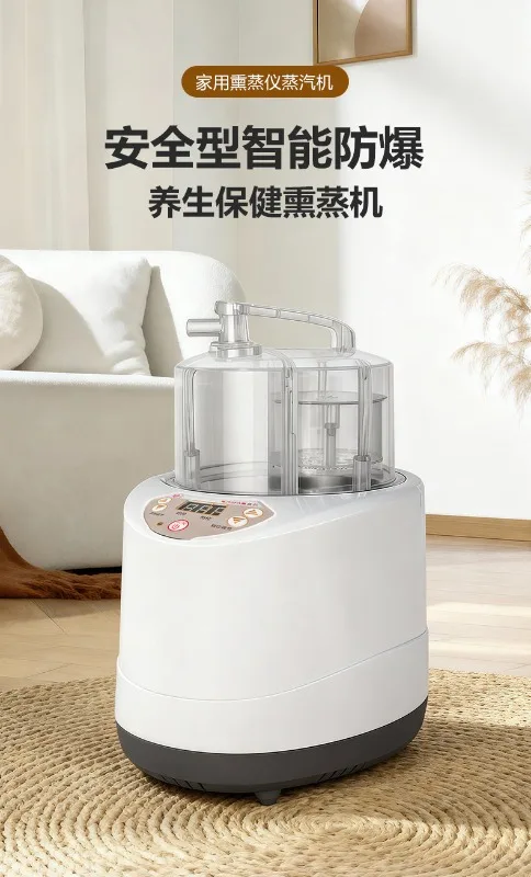 Household Large Capacity 3. 0L Fumigation Machine Sweat Steaming Box Set Instrument Bath Trea-tment Steam
