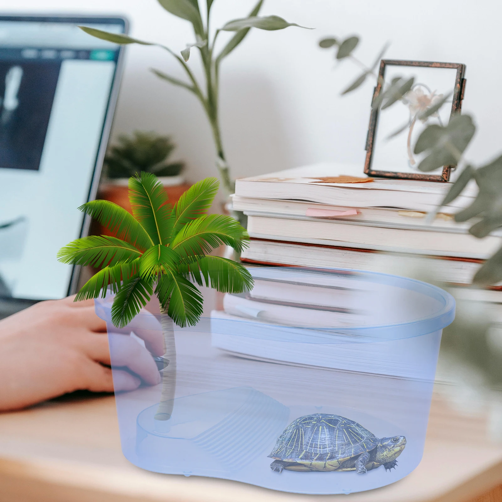 

Plastic Turtle Tank Turtle Crawling Box Deep Large Capacity Reptile Habitat Tank Pet Breeding Box Escape Proof