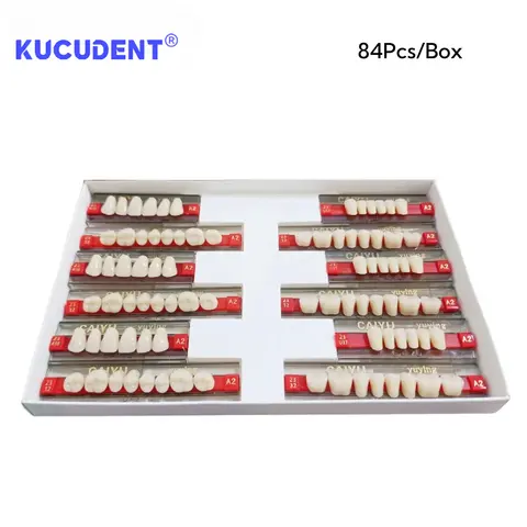 10 best sales protes tänder - №8