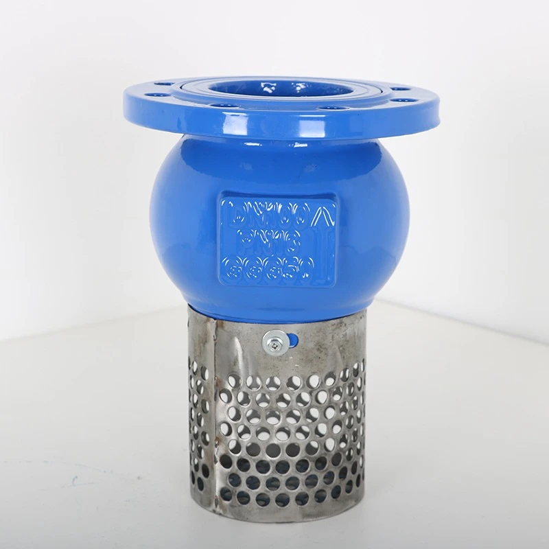 High Quality Industrial 4 Inch Cast Iron Flanged Bottom Valve with Filter
