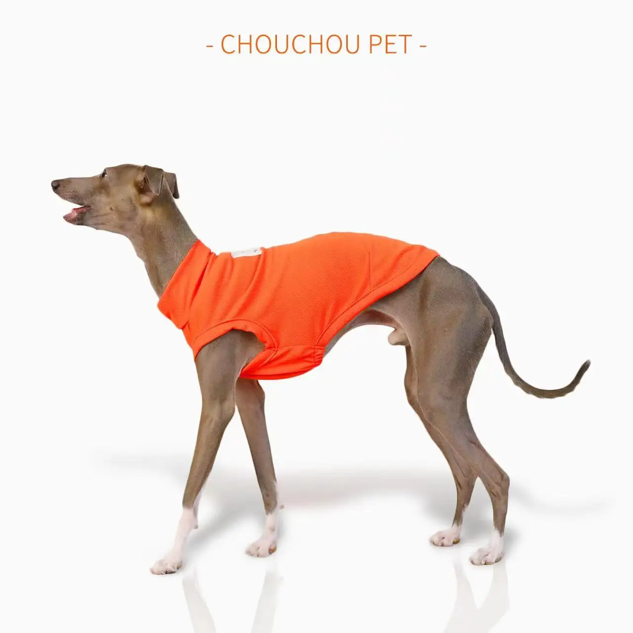 Summer Breathable Dog Vest Outdoor Sun Protection Pet Clothes Cool and Comfortable Iggy Whippet Small and Medium Dog Clothes