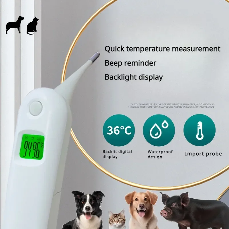 Thumbnail 2 - #20 Cheap Pet Thermometers Worth Buying