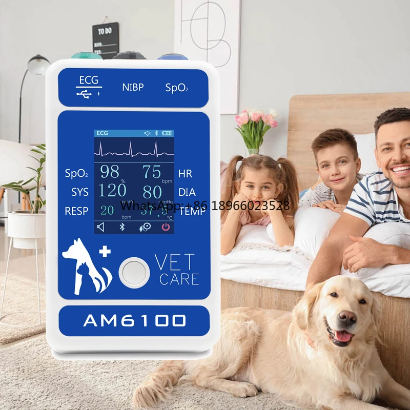 BERRY AM6100 Veterinary instrument Ekg Veterinary multiparameter monitor Veterinary monitor