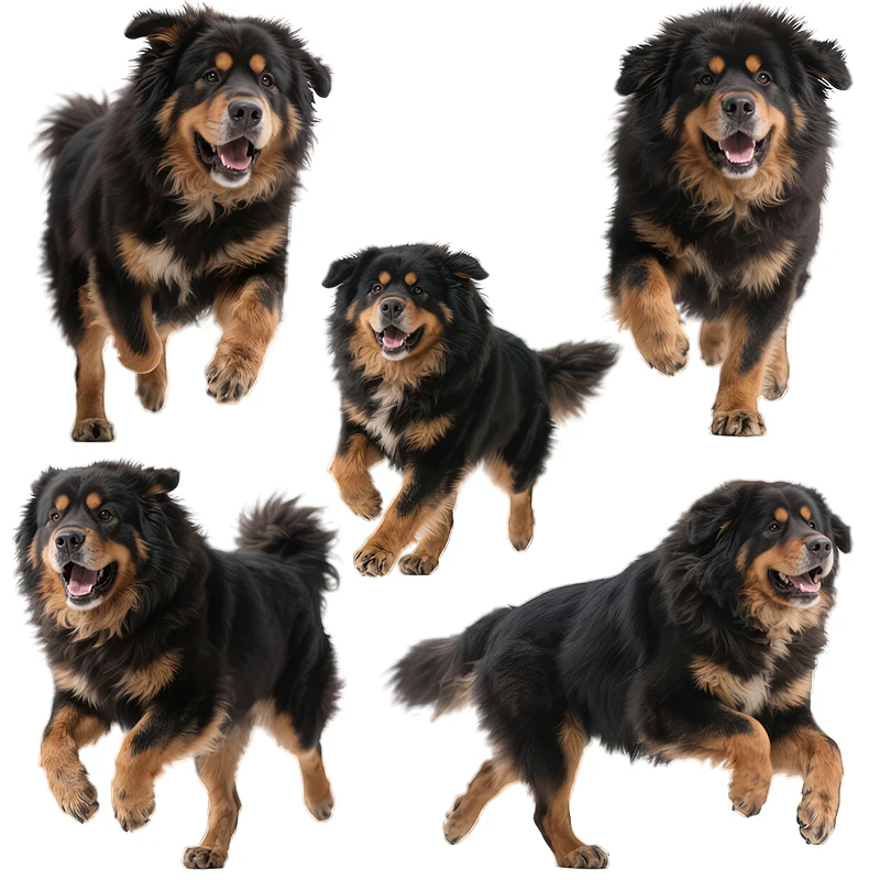 Three Ratels CC155 Happy Tibetan Mastiff Animal Stickers for Children's Bedroom Decoration Funny Car decals