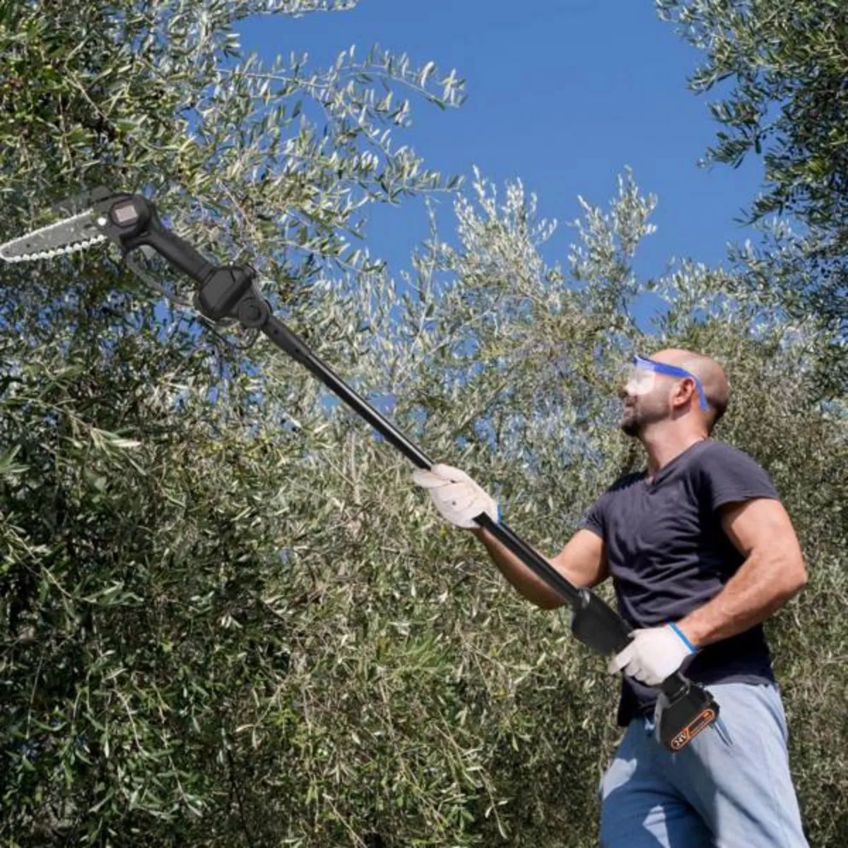 2-in-1 Cordless Pole Saw Brushless Mini Chainsaw Cordless with Pole 21500mAh Batteries Powered Pole Saws for Tree Trimming