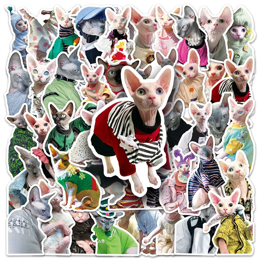 

10/30/50pcs Cute Animal Sphynx Cat Graffiti Stickers Cartoon Decals Laptop Guitar Luggage Phone Car Decoration Sticker Kids Toys