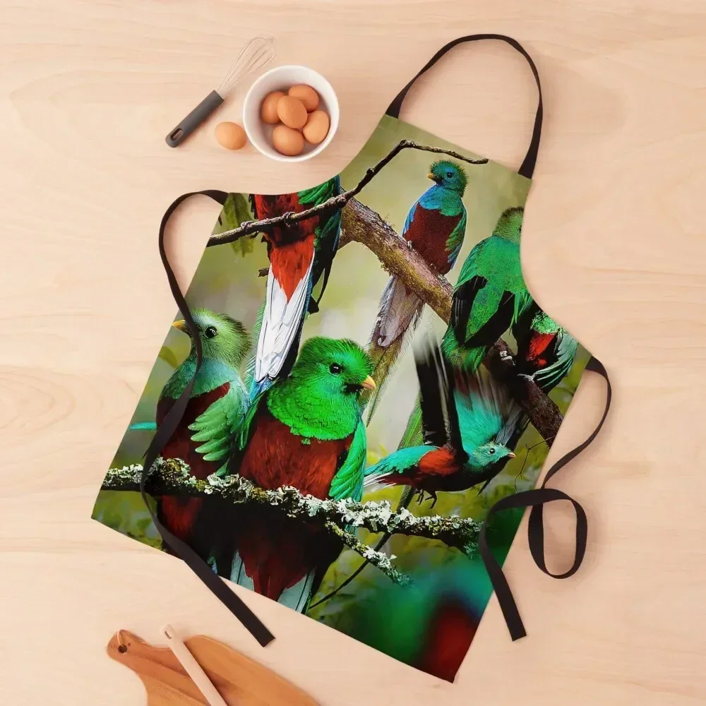 

Quetzal Apron Kitchen Front Kitchen Kawaii Accessories Goods For Home And Kitchen cookings for women Apron