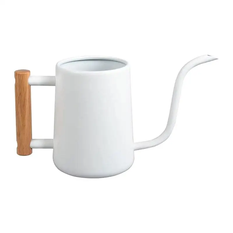 1000ml Watering Can Stainless Steel Small Watering Cans With Wooden Handle For House Plant Garden Flower Watering Can For Plants