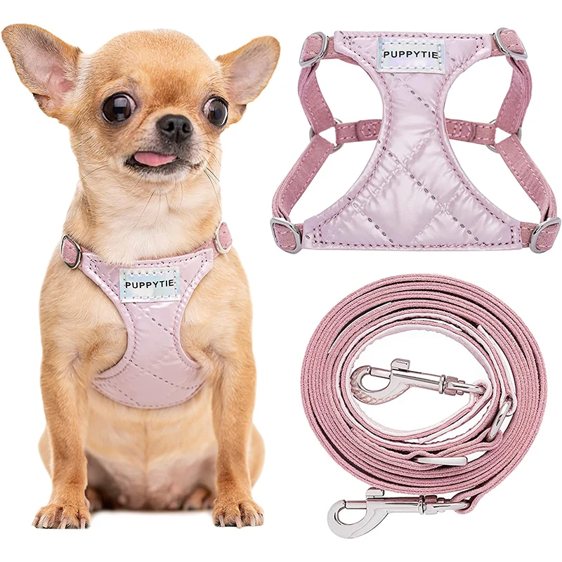 

Adjustable Dog Harness Vest No Choke Puppy Harness Pet Chest Strap No Pull Soft Walking outdoor for Small Medium Dogs Chihuahua