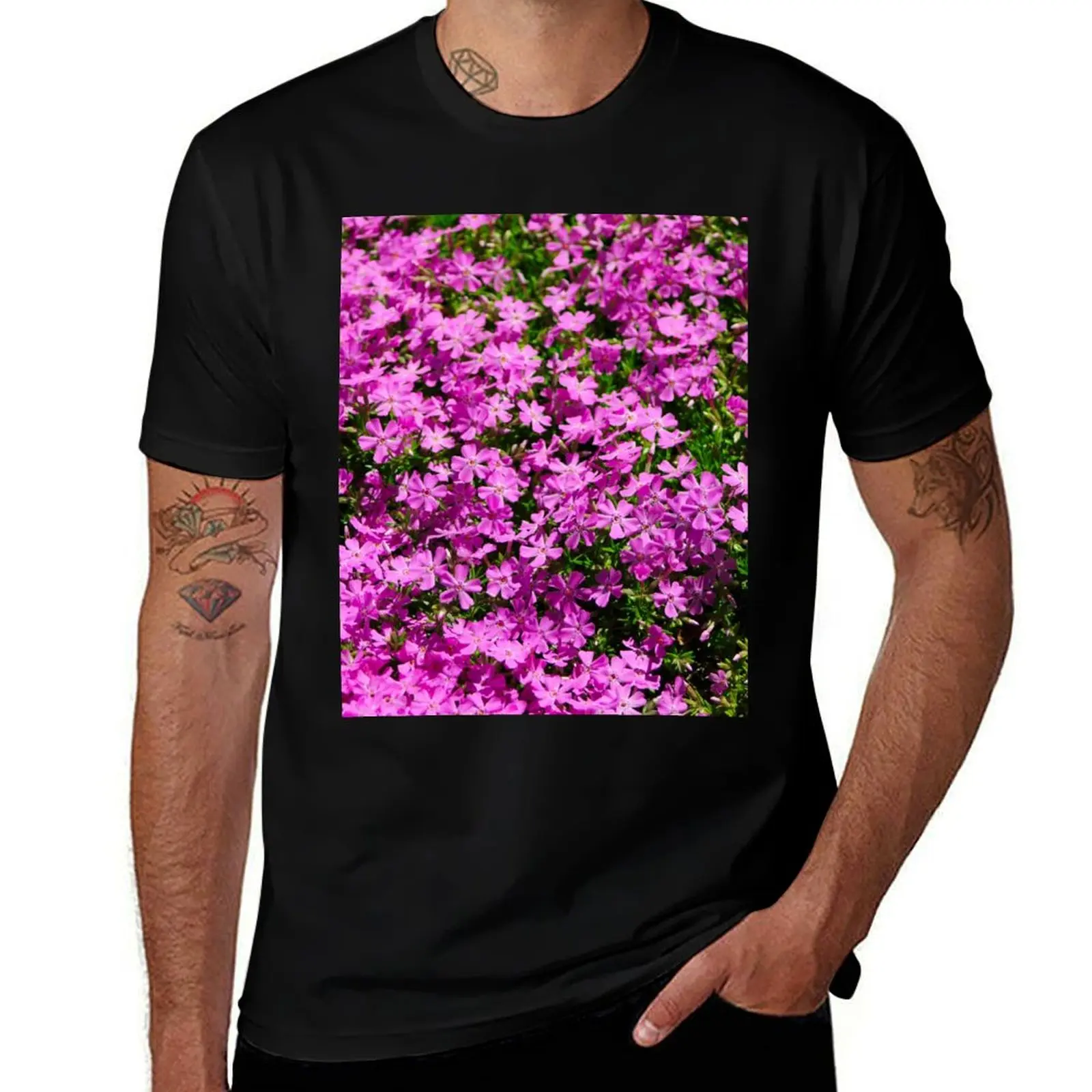 

Creeping Phlox T-Shirt man t shirts for men anime t shirts oversize