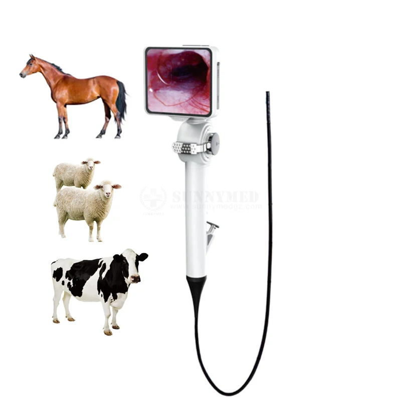 Multi-function Animal Endoscope System Diagnostic machine veterinary Vet bronchus portable medical endoscope ca-me-ra