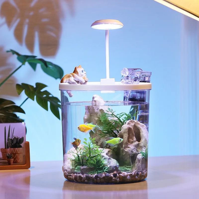 5 Gallon Desktop Small Fish Tank Living Room Lazy Mini Acrylic Glass Goldfish Aquarium with LED Light Filter Pump Box