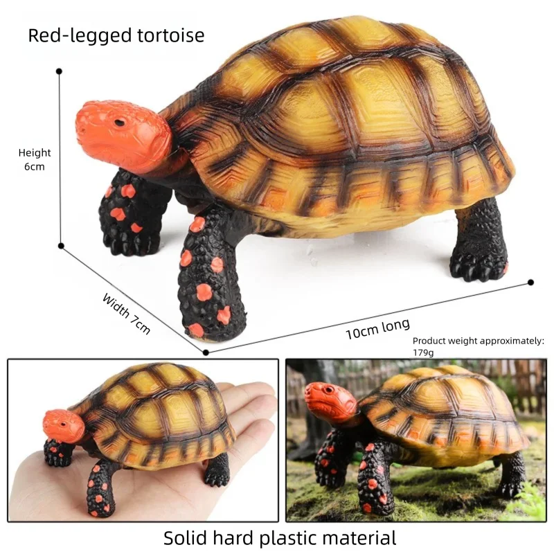 Oenux Simulations-Schildkröten-Set: Alligator, Galapagos-Schildkröte, Chinesische Weichschildkröte Figuren und Puppen – Detail 24