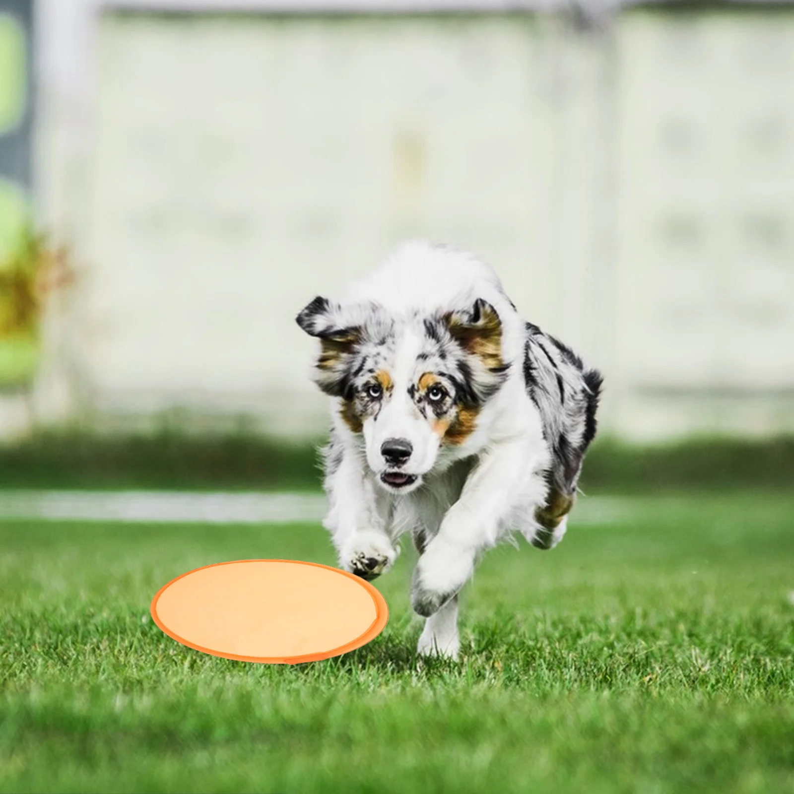 16 Pcs Flying Discs Bulk Toy Round Fan Folding Throwing Plate Outdoor Plaything Child