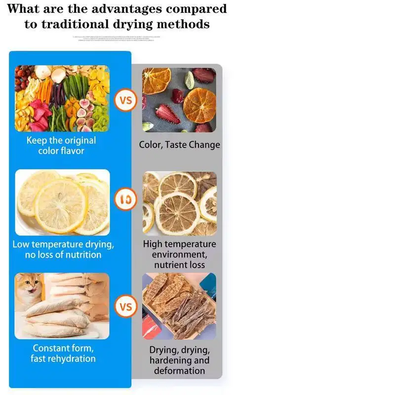 Small Capacity Freeze Drying Machine Household Freeze Dryer Home Lyophilizer For Drying Equipment On Sale