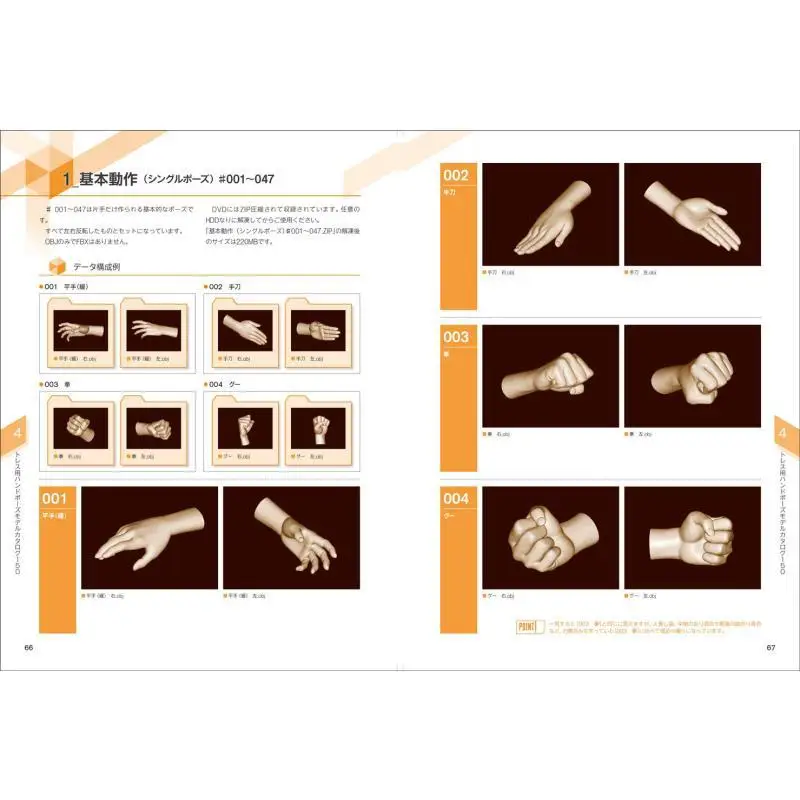 مجموعة مواد تشكل يدوية ثلاثية الأبعاد للعمل الأساسي اليومي Taichi Koda Senna of Tenryoji Temple Xuan Guang Society 9784768312018 كتاب