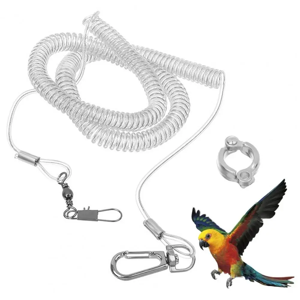 Parrot Leash Stretchable Elastic Detachable Towing Parrot Wire Rope Parrot Bird Outdoor Flight Training Rope Macaw Starling