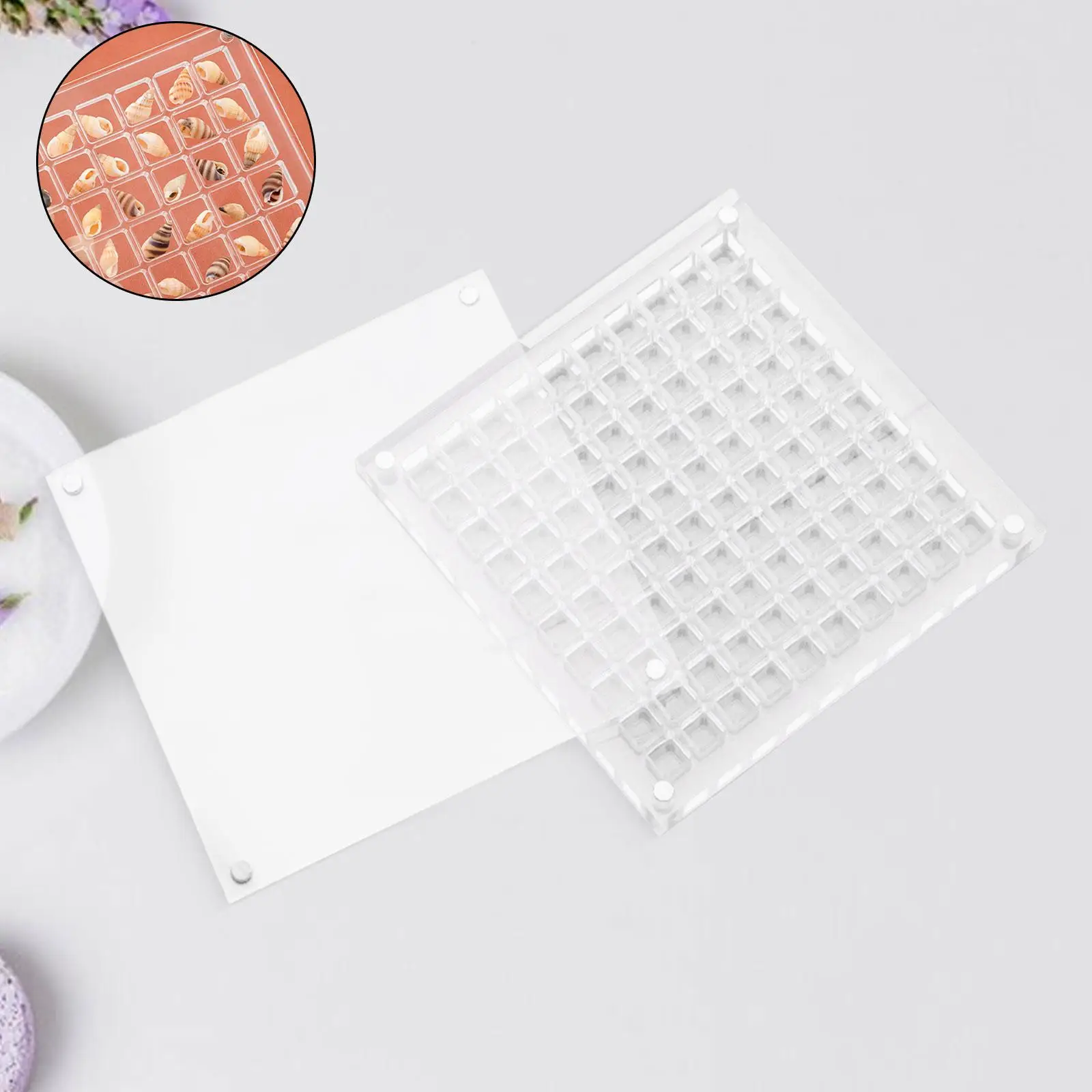 6x Caja organizadora de diamantes de imitación con diseño de concha para suministros de decoración de uñas