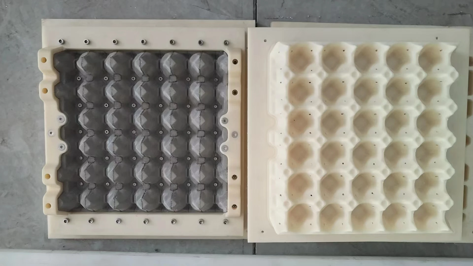 Cetakan Plastik Universal 30 Telur