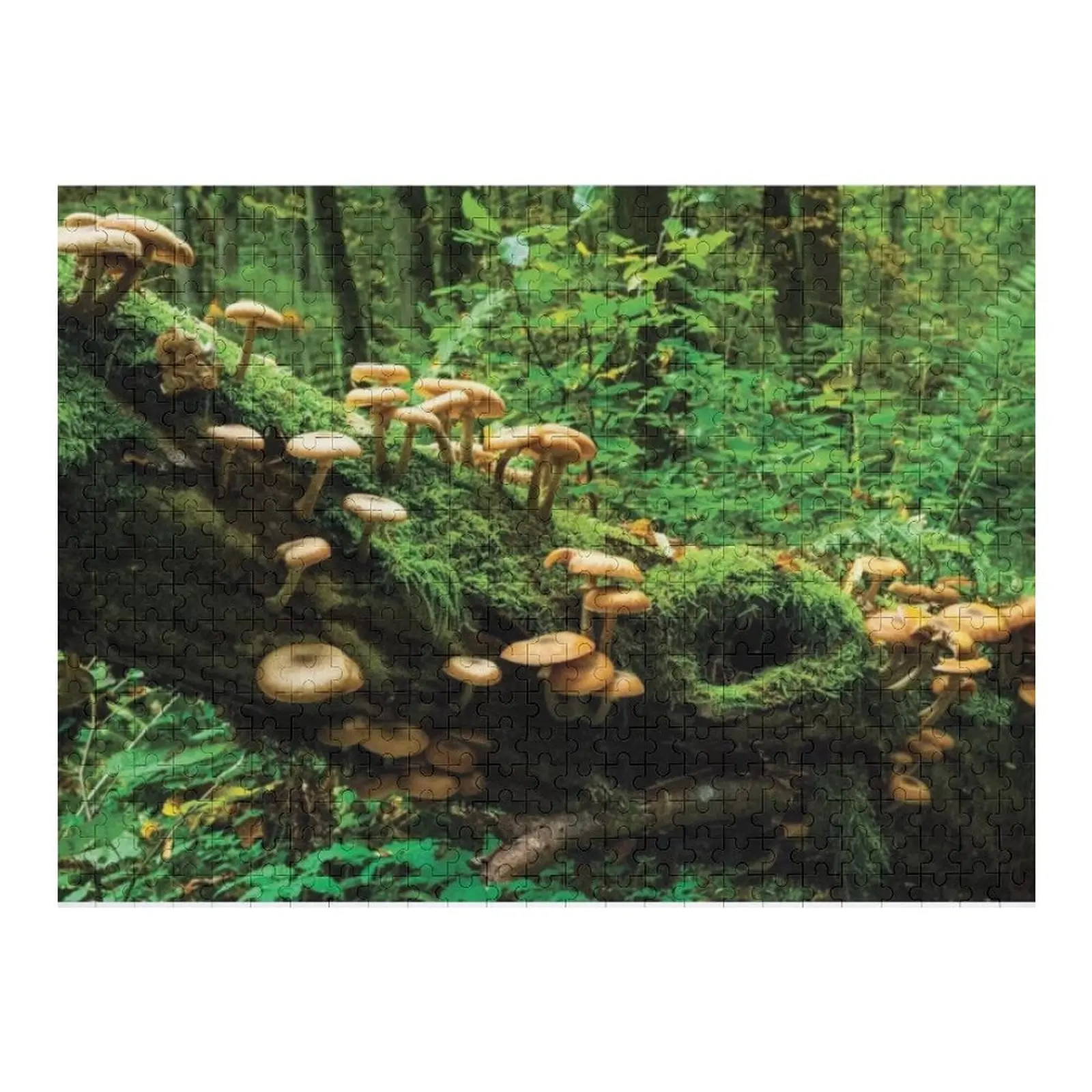 Bialowieza Funghi della foresta Jigsaw Puzzle Decorazioni in legno Dipinti Puzzle personalizzato