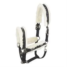 رسن الحصان والرأس، معدات ركوب الخيل بياقة رأس الخيل #6