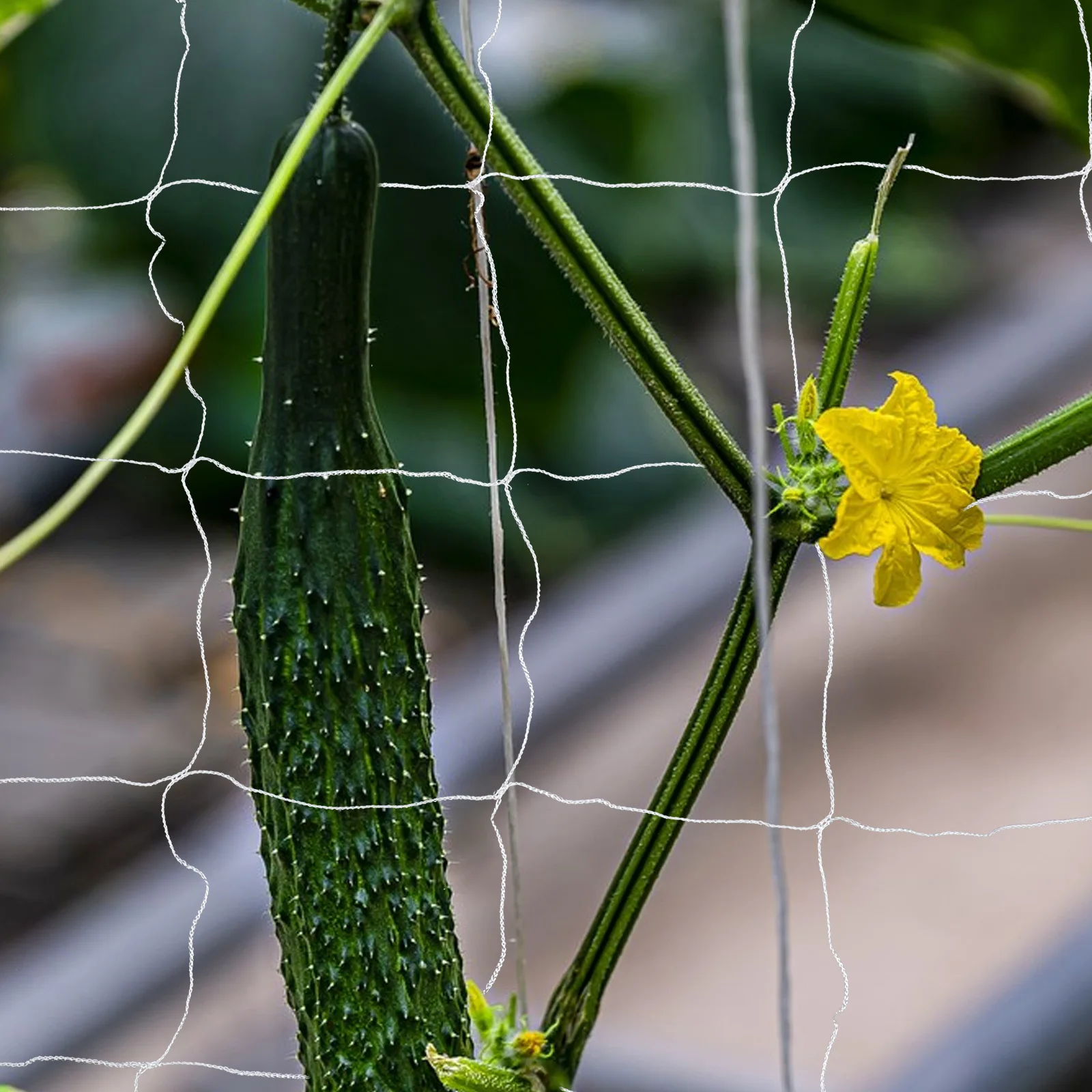 

Garden Grow Netting Climbing Plants Heavy-Duty Polyester Trellis 5x30ft Durable Support Net for Cucumbers Garden Netting Trellis