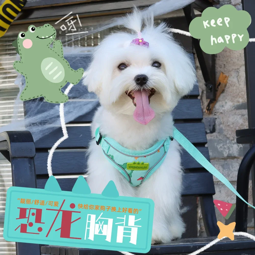 ربيع جديد تنفس حزام الصدر الصغيرة الطازجة اللون مخطط الحيوانات الأليفة المقود لطيف كلب صغير الكلب المشي حبل