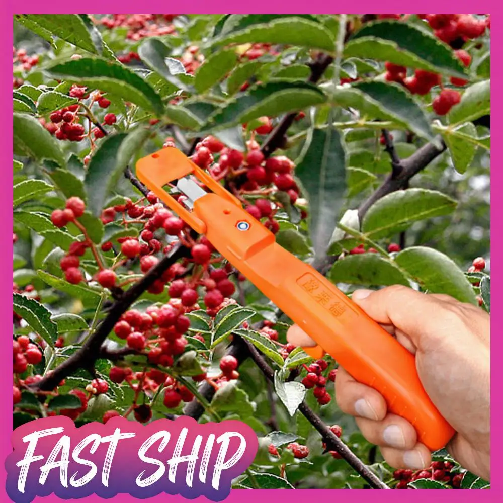 

Многофункциональные кухонные ножницы для обрезки фруктов и овощей, эргономичные ножницы для перца и цветочных веток для фермы и сада