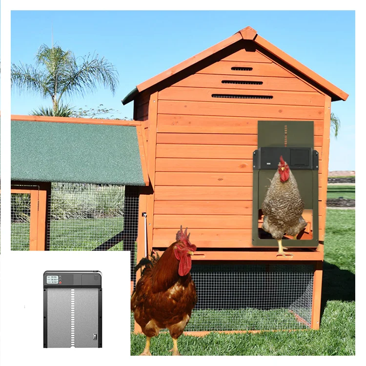 

Automatic Chicken Coop Door Run Chicken Automatic On And Off Of Chicken Door In The Morning And Evening