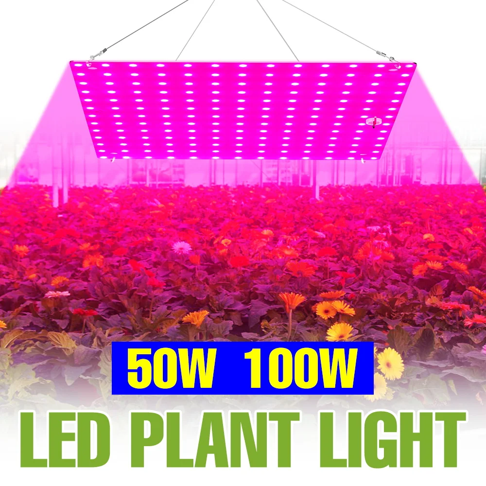 

Светодиодные фитолампы полного спектра 100 Вт для выращивания растений в помещении, 220 В, Quantum Plate, для освещения цветов, суккулентов, растений в горшках, с вилкой US/EU