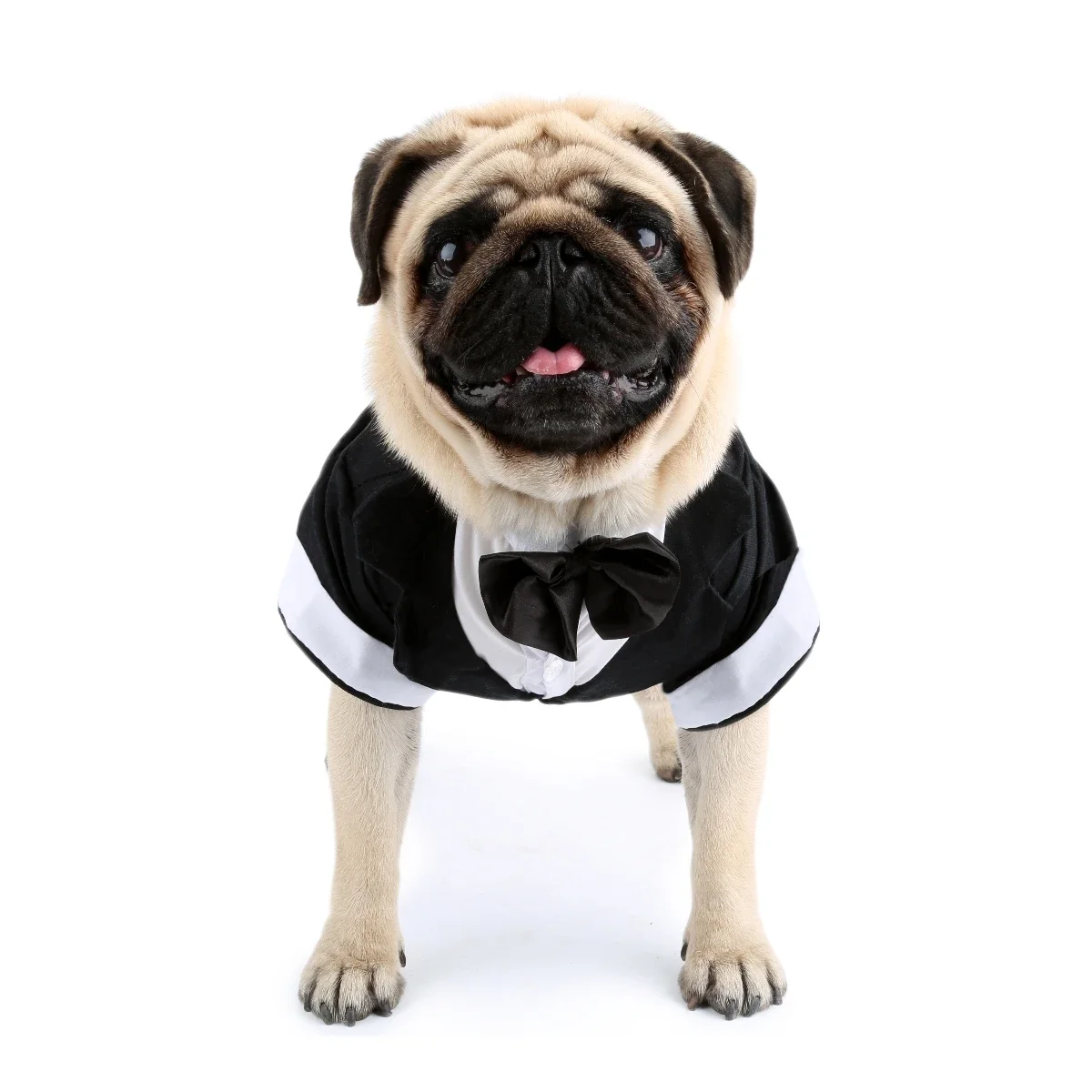 Dog Shirt Puppy Clothes, Pet Wedding Suit Formal Tuxedo with Black Bow Tie, Dog Outfit for Small Dogs Cats, Dog Wedding Attire