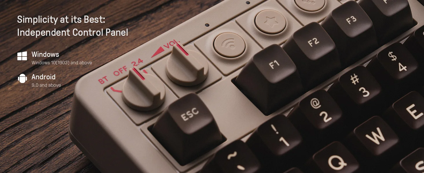 8BitDo Retro mechanische Tastatur, BT/2,4G/USB-C Hot-Swap-fähige Gaming-Tastatur mit 87 Tasten, zwei superprogrammierbare Tasten – Detail 8