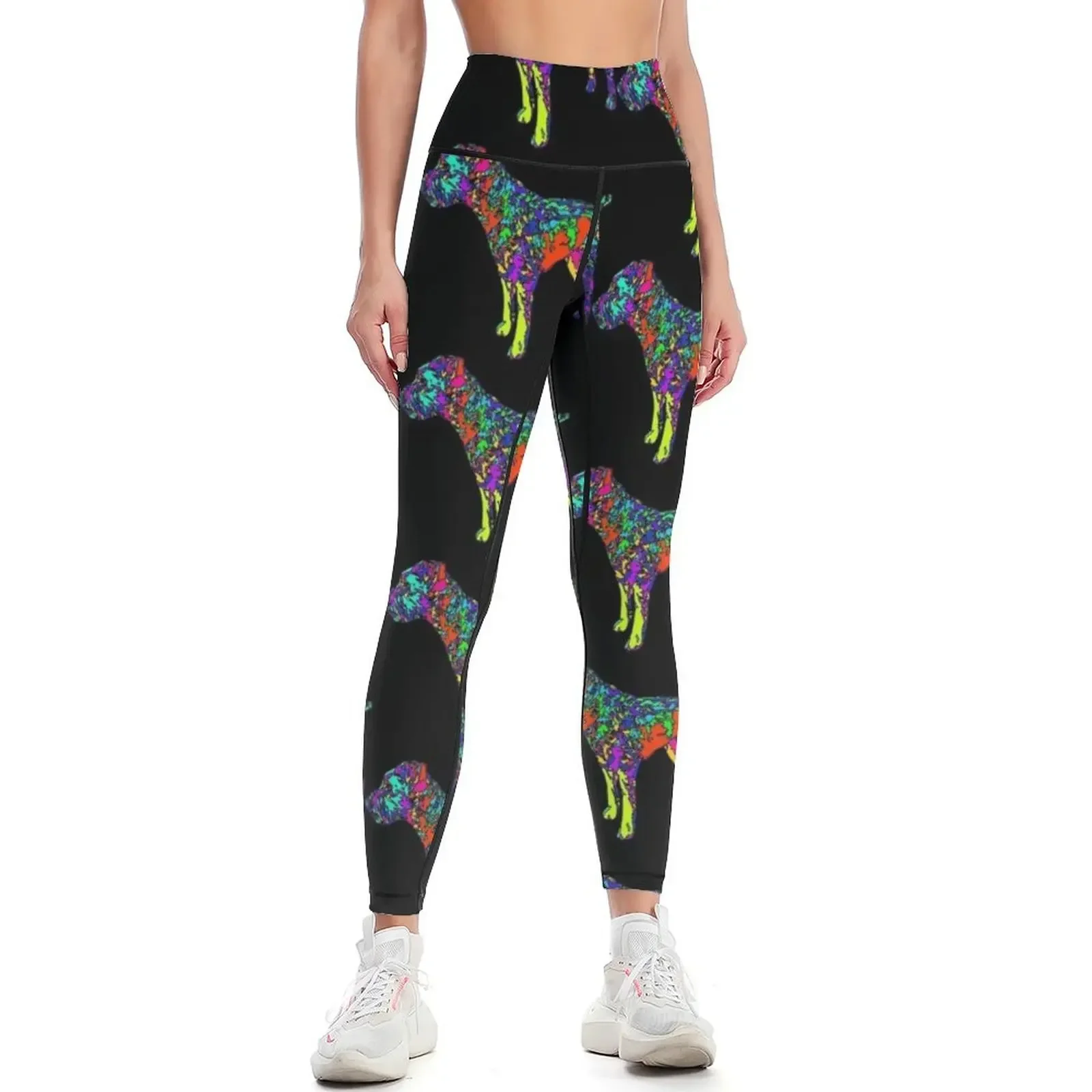 

Rizzo the colorful Border Terrier Leggings sporty woman gym Sports pants for harem pants for fitness Womens Leggings