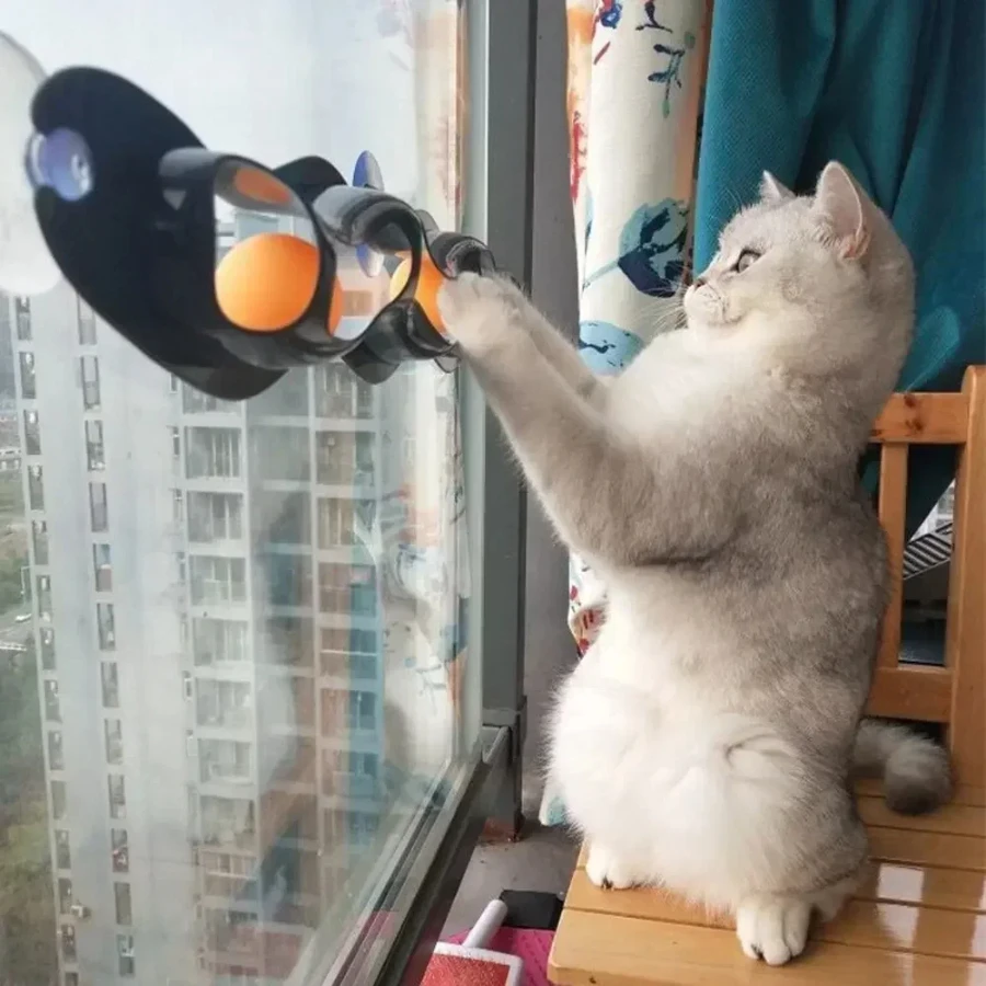 

Ping Pong Ball New Teasing Cat Educational Toys Pet Interactive Cat Toy Track Window Suction Cup Toy Ball Cat Scratch Plastic