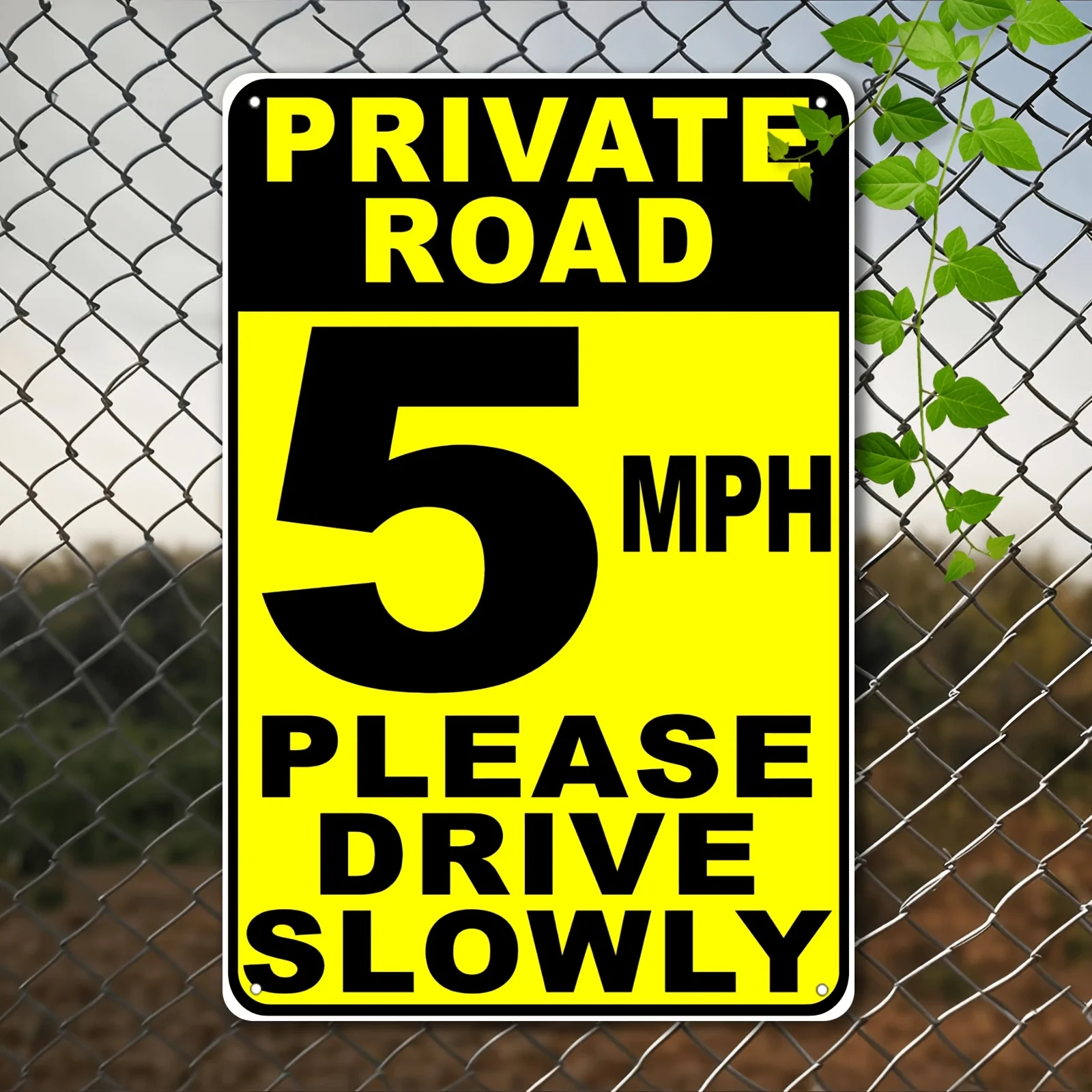 2D Flat 1pc Tin Sign Private Road Speed Limit 5 MPH Please Drive Slowly Sign. Wall Decor Metal Plaque Outdoor Wall Art Gift Idea
