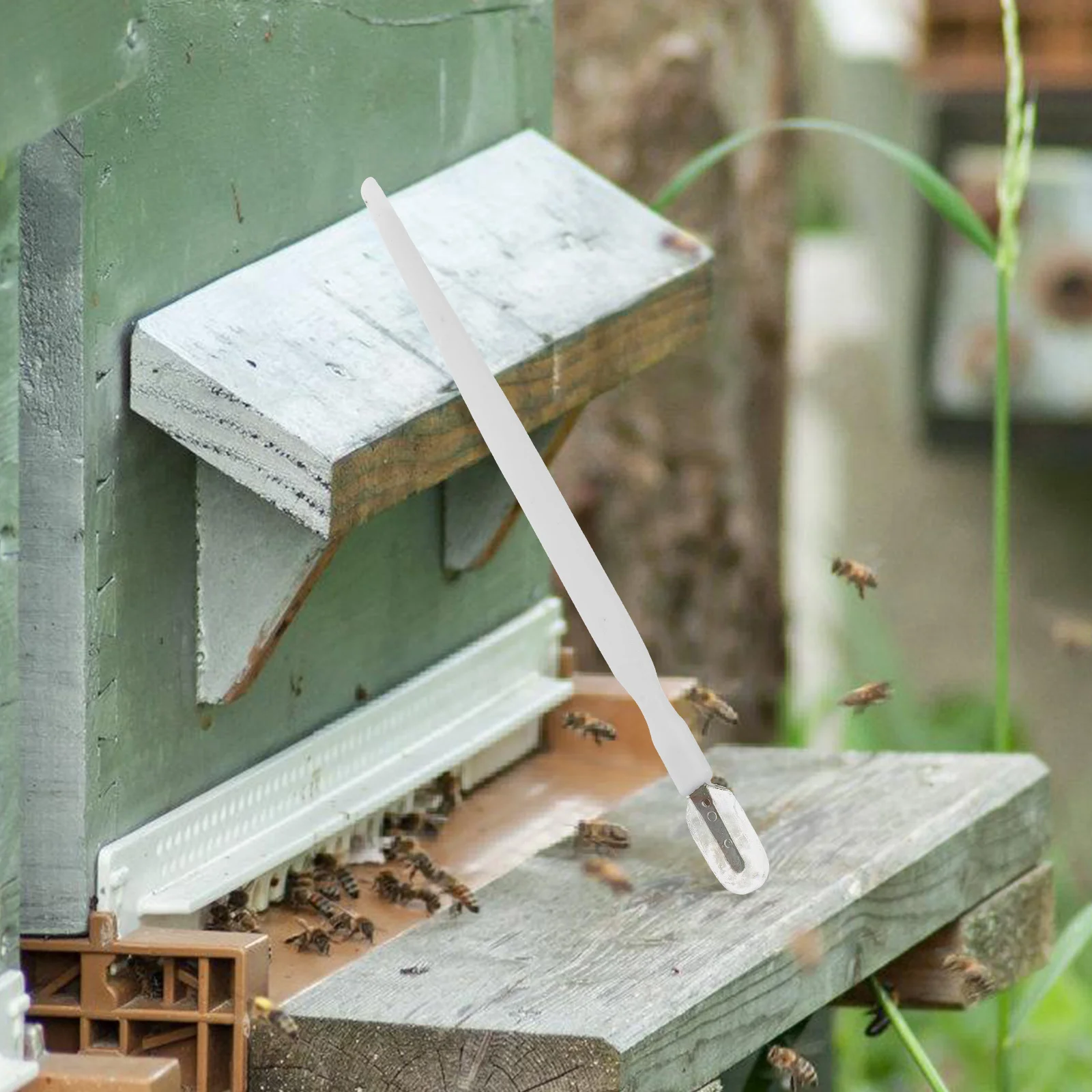 

10Pcs Royal Jelly Scoop Pen Honey Scraping Paste Pen Beekeeper Extraction Tool Hive Scraper Multifunctional Beekeeping