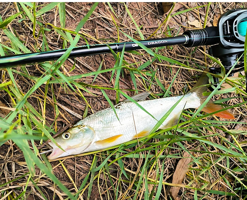 TSURINOYA Long Casting Rod DRAGON 2.16m 2.28 2.44m M ML Spinning Fishing Rod For SeaWater Fresh Water FUJI Carbon 2Section Cane