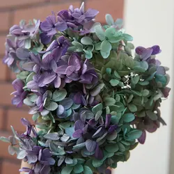 10g/Grandient Color Preserved Hydrangea Ellipse Petals Paniculata Office Decor Crystal Glue DIY Flowers Scented Candles Material