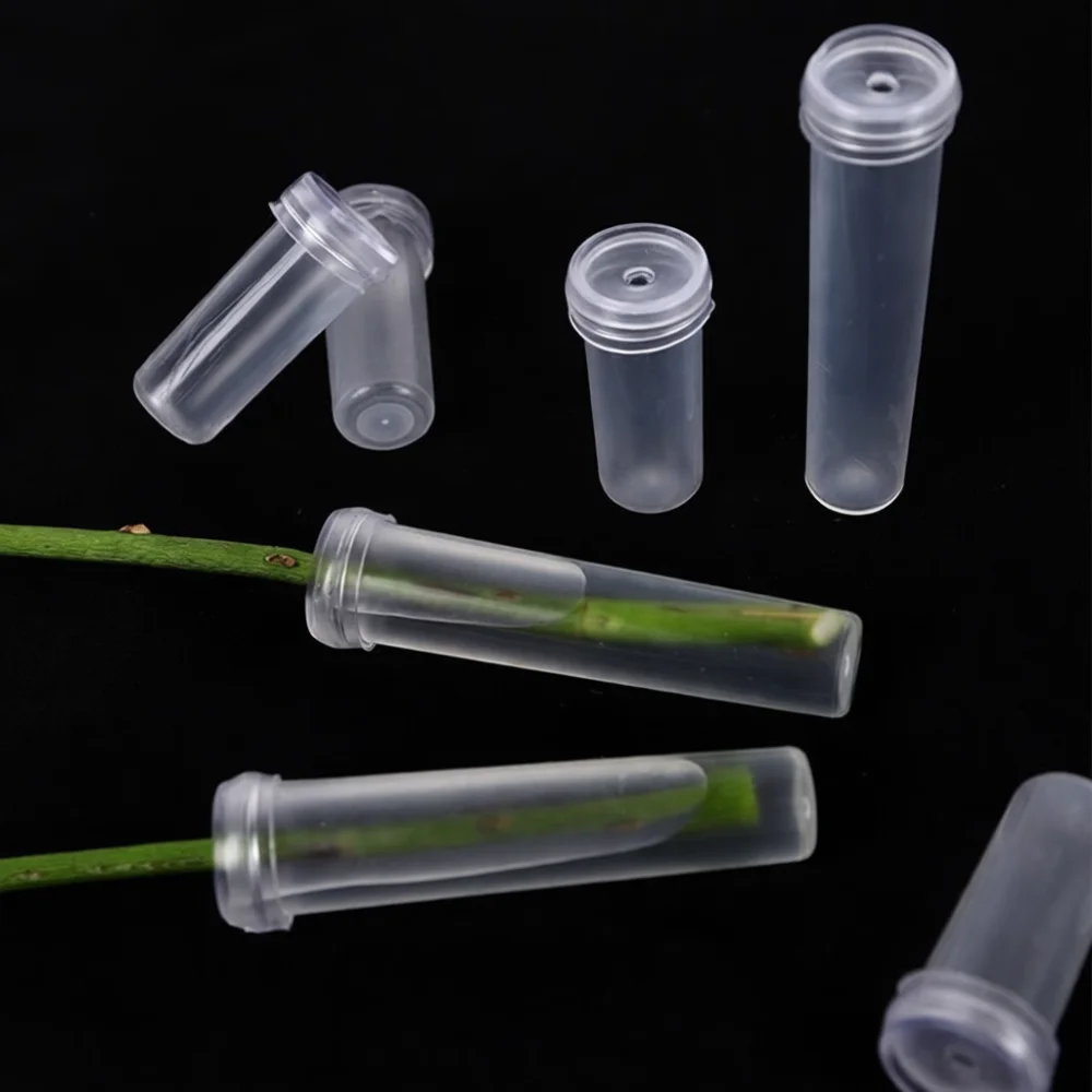 قوارير ماء زهور تدوم طويلاً لح - مراجعة Florist Supply Wholesale وسعره