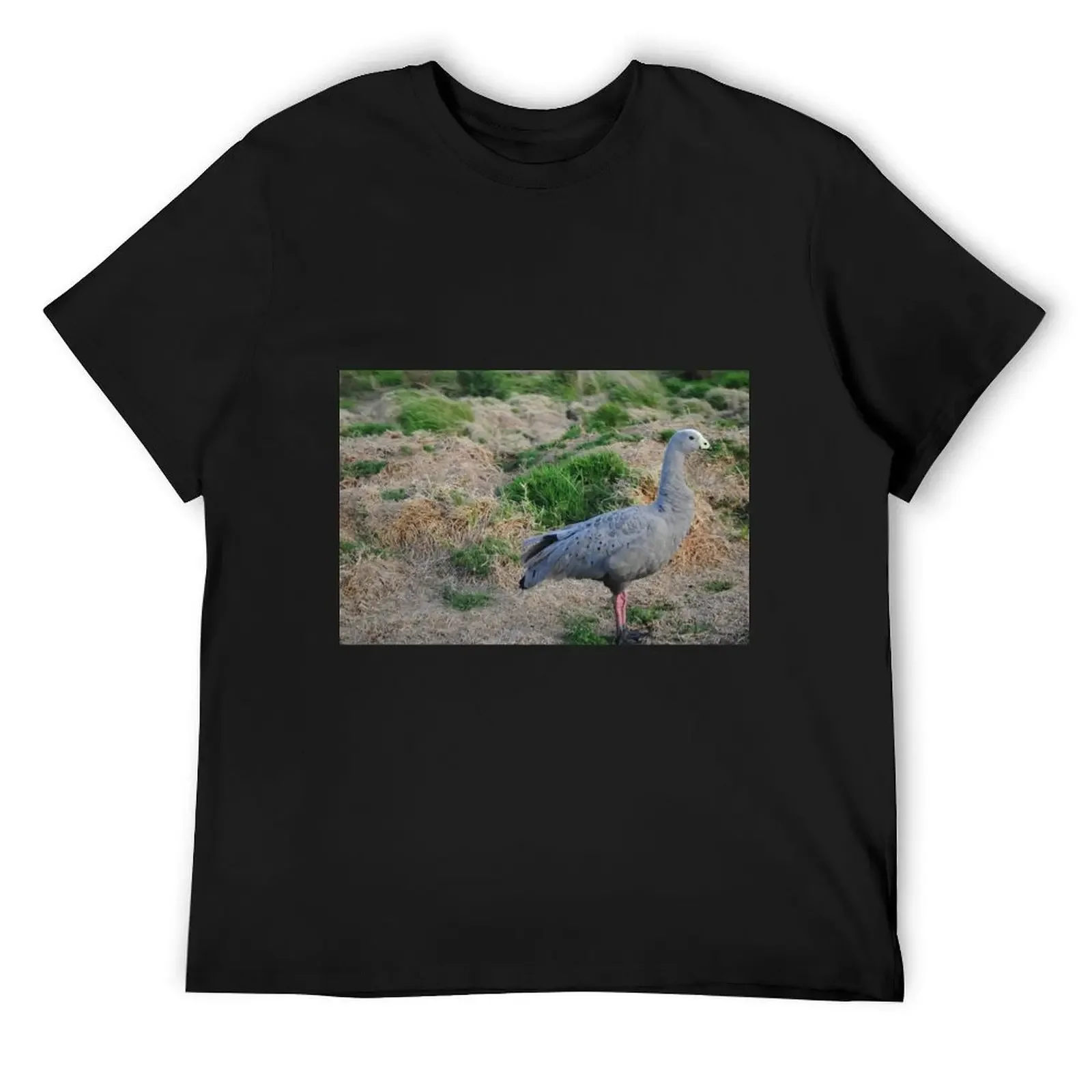 Cape Barren Goose, Phillip Island T-Shirt oversized graphic tee custom t shirt customizeds mens tall t shirts