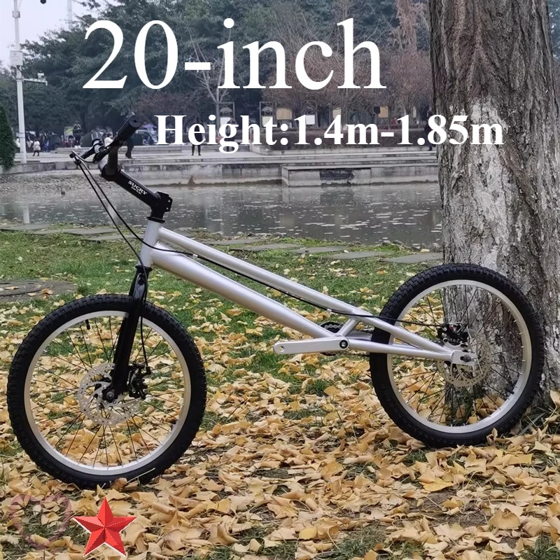 

Extreme Sports Seatless Rock Climbing Kids Fancy Stunt Acrobatics Bike Bicycle