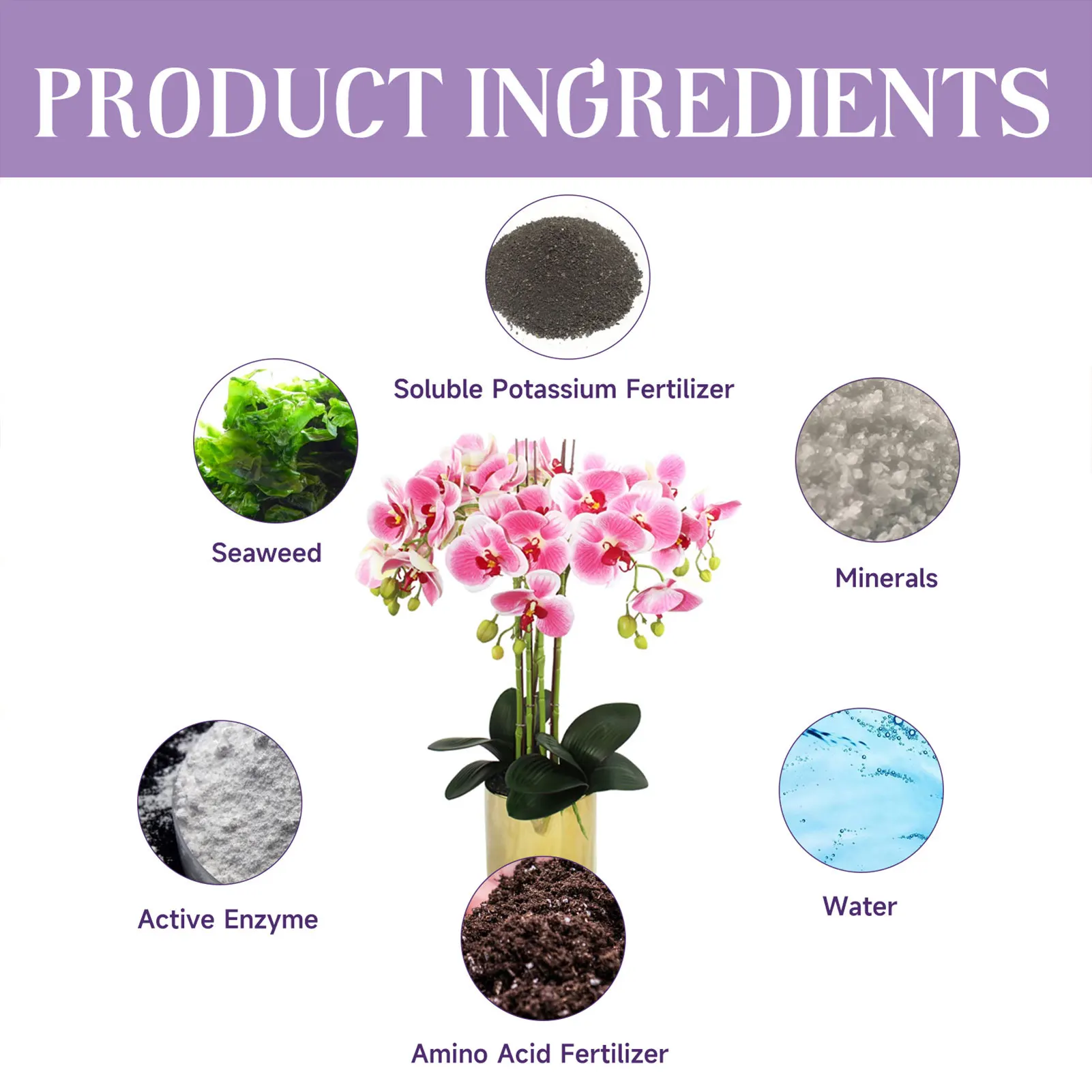 50ml Orchid Growth Nutrient Fertilizer Natural Ingredients Root Boost Solution Suitable for Orchid Plants Garden Plant Growth