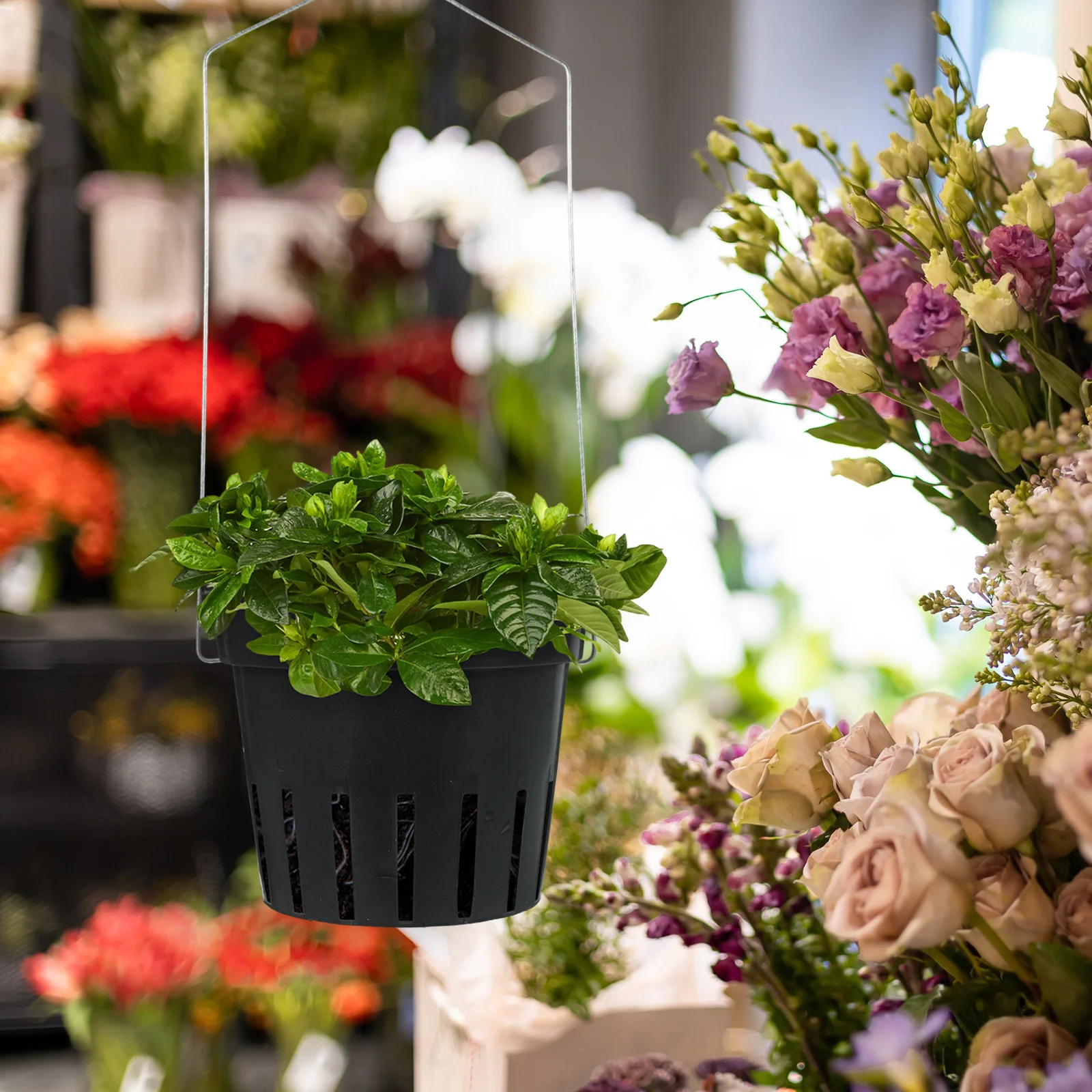 

8Pcs Wall Plant Holder Flower Pot Hanging Planter Balcony Garden Indoor Outdoor Wall Mounted Succulent Planters