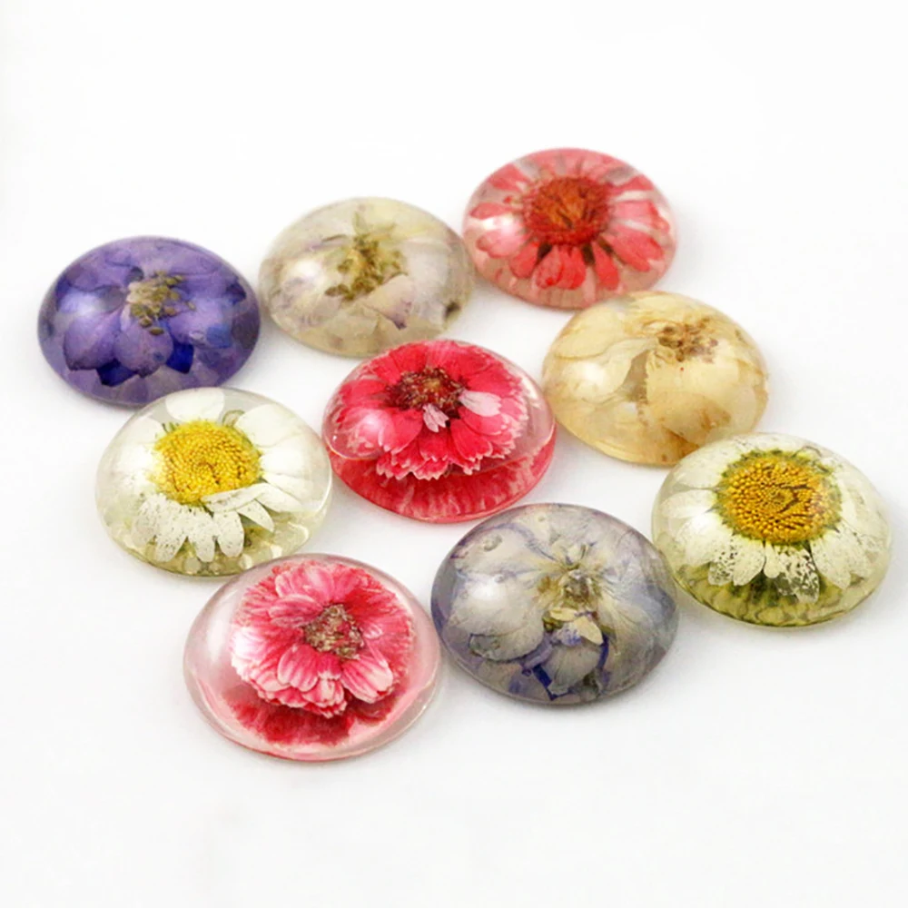 New Fashion 5pcs 25mm Mixed Color Natural Dried Flowers Flat Back Resin Cabochons Cameo  G3-26