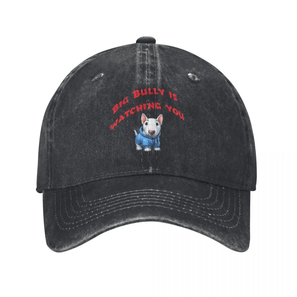 Big Bully Is Watching You Baseball Caps Vintage Denim Washed Headwear Unisex Style Outdoor Running Hats