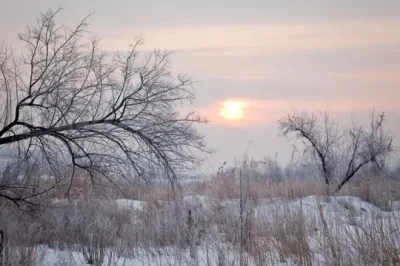 

FOR Wltoys 144016 144018 1/14 1/12 C8803 Metal Front and Rear Suspension Arm RC Car Upgrade Parts